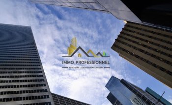 IMMO PROFESSIONNEL
