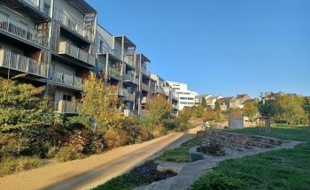 Agence immobilière Nexity