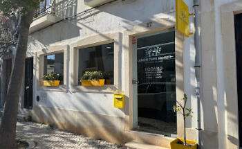 Lemon Tree Homes by Isabel Romano | Real Estate Agency