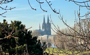 Immobilien Sternenberg
