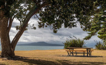 Barfoot & Thompson Browns Bay