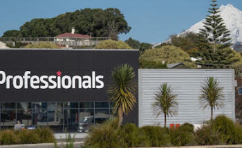 Professionals Real Estate