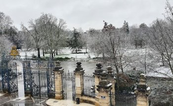 Avenue Carnot Immobilier