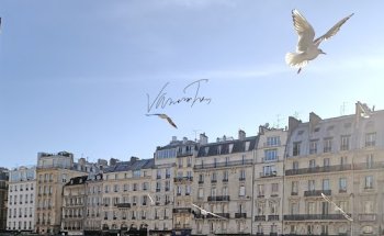 Tran Immobilier Bordeaux