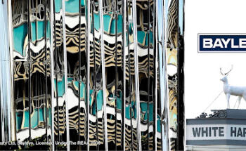 Bayleys Real Estate New Plymouth