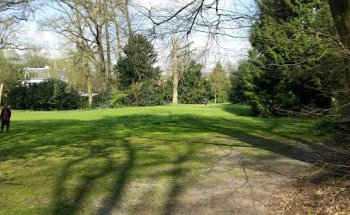 DietvorstBorman Makelaars - Breda