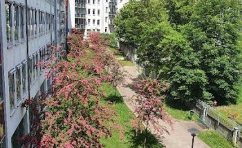 MB Immobilien & Verwaltung