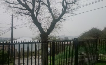 Madesal Inmobiliaria