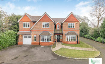 mint homes