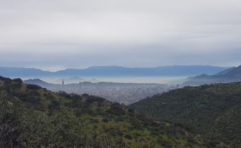 Schumacher Propiedades