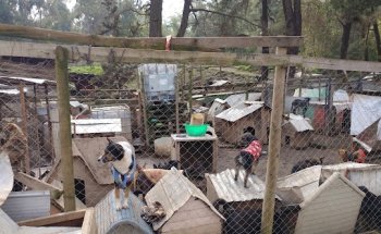 Inmobiliaria Dintel SpA