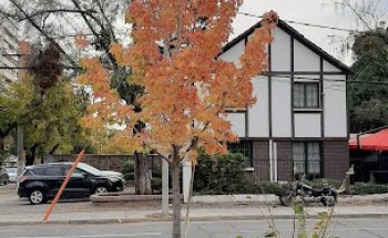 RE/MAX Central Propiedades