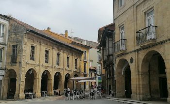 AGENCIA INMOBILIARIA VICTOR ANTUÑA