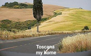 Girasole di Toscana agenzia immobiliare Di Paparella Nicoletta