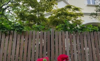 HomeCompany Hertle Immobilien GmbH