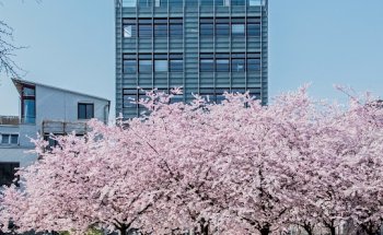 KRAUS GRUPPE Heidelberg