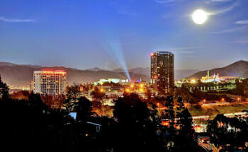 Fogg Miranda Real Estate Team