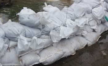 Bauwert Immobilien Treuhand GmbH