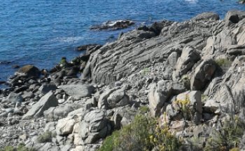 Inmobiliaria Lomas el Arrayán