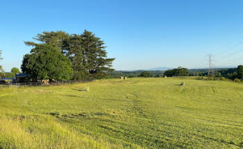 National Land Realty - Mountain View Office