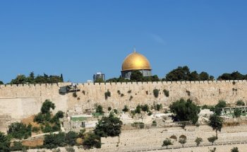 Misa management immobilier S.A.