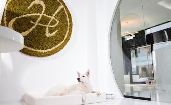 Hildebrandt Immobilien GmbH