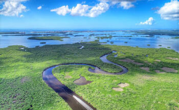 SWFL Real Estate Astrid Hayes