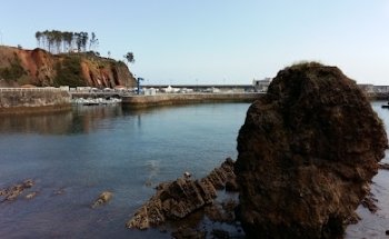 GESTION INMOBILIARIA MB