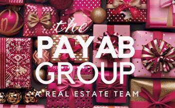 The Payab Group