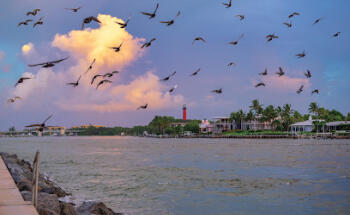 Jupiter Lighthouse Realty