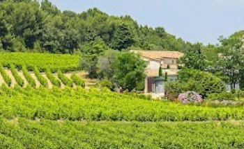 Devier Immobilier Montpellier