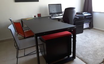 L'artisan de l'immobilier