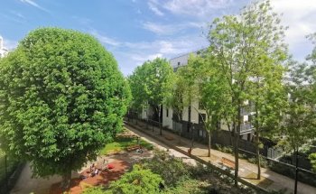Mister Property - Nanterre