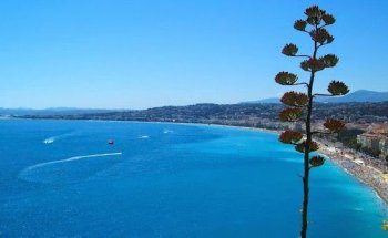 Sud Contact Immobilier