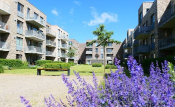 HAVEN Immobilien GmbH