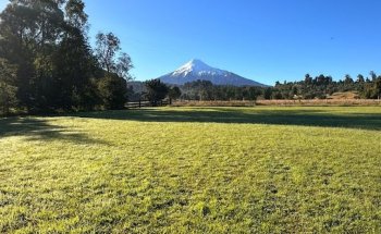 Hoffmann & Willer Grupo Inmobiliario