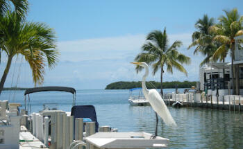 Waterfront Keys Realty, Inc.