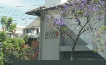 AVSA Venta de departamentos NUEVOS