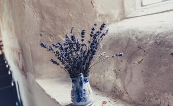 Agence Sud Mediterranée Immobilier