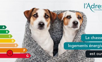 Agence immobilière l'Adresse Perpignan