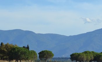 Perpignan Montagne Immobilier