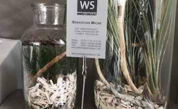 WS Immoconsult Wicke