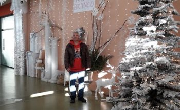 Ling mediação Sociedade de Mediação Imobiliária Lda