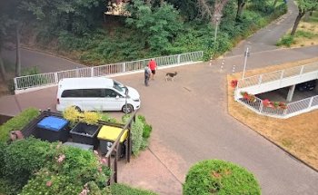 Tasche & Partner GmbH