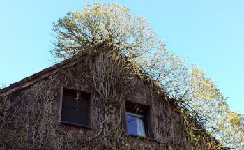 Michael Münch Dienstleistungsbüro