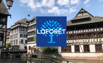 Agence immobilière Laforêt Strasbourg