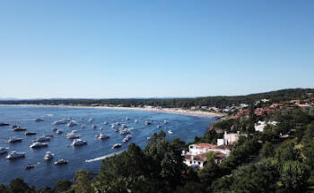 Punta Ballena Inmobiliaria