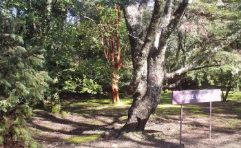 Mi Quinta Propiedades