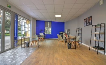 Bord De Garonne Immobilier