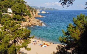 PROMOCIONS I IMMOBLES DE LA SELVA S.L.